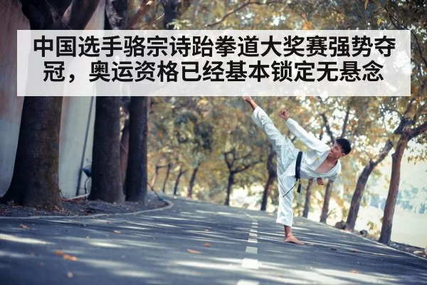 taekwondo kick